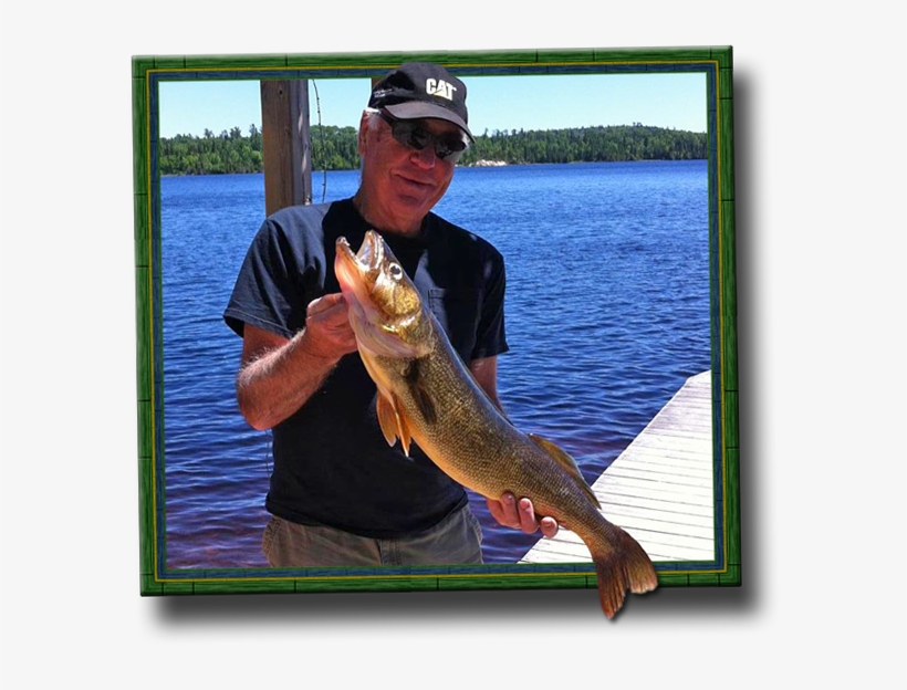 Green Wilderness Lodge Is Lucky To Be On Beautiful - Pull Fish Out Of Water, transparent png download