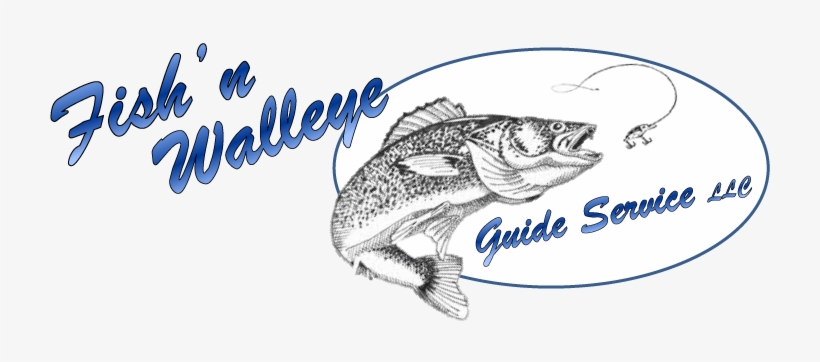 Fish'n Walleye - Walleye, transparent png download