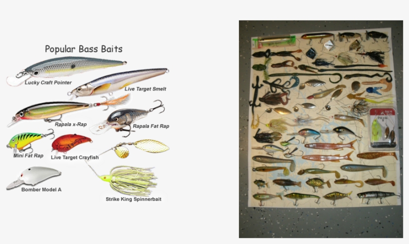 These Pictures Are Some Of The Lures That You Can Use - Koppers Live Target Rainbow Smelt Shollow Dive Jerkbait, transparent png download