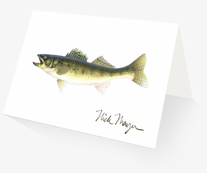 Walleye - Brown Trout, transparent png download