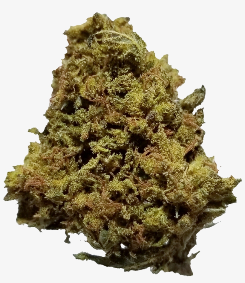 Monster Mass - Yellow Fir, transparent png download