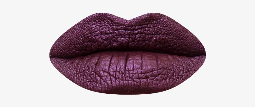 Image Of Dead Roses - Wibo Liquid Metal Lipstick, transparent png download