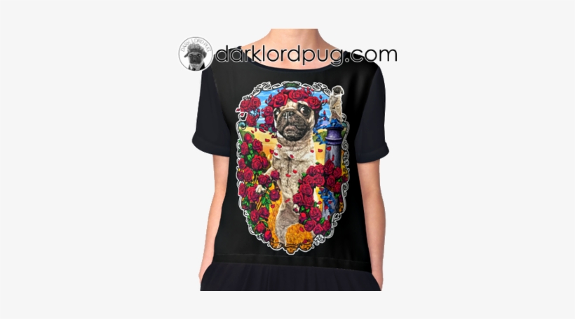 Entdecke Ideen Zu Katzenhemden - Top, transparent png download