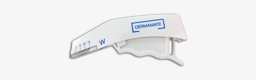 Dolphin Skin Stapler, transparent png download