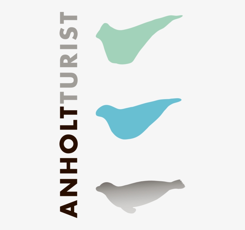 Her Er Både Fred Og Ro Og Et Levende Havnemiljø Med - Perching Bird, transparent png download