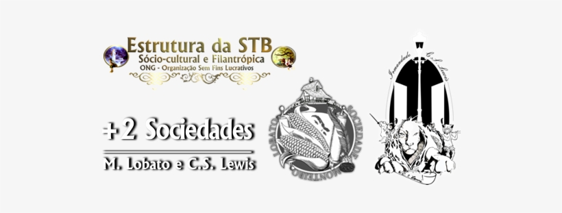 A Stb Também Assume Um Papel De Propagadora Da Literatura - Pre-engagement Ring, transparent png download