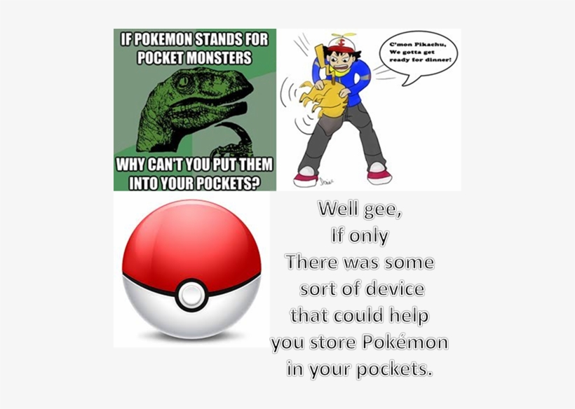 Pokéballs - Jarabe De Palo: Y Ahora Que Hacemos Cd, transparent png download