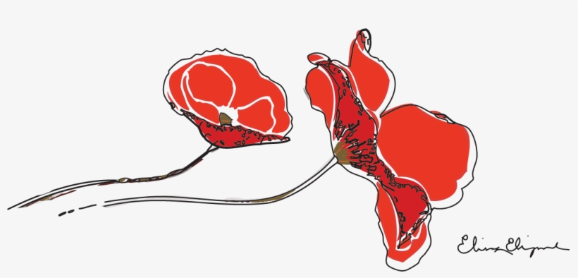 Illustrator - Photoshop - Design, transparent png download