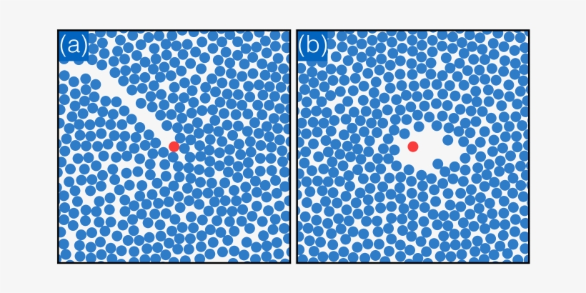 Snapshots From Brownian Dynamics Simulations Of A Run - Circle, transparent png download