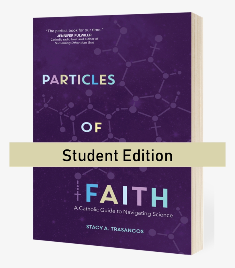 Coming In 2019 - Particles Of Faith: A Catholic Guide To Navigating, transparent png download