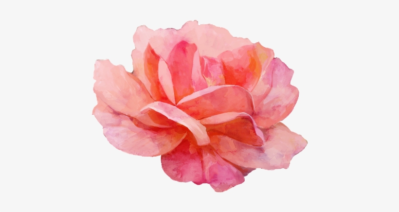 Watercolor Floral Elements Png, transparent png download