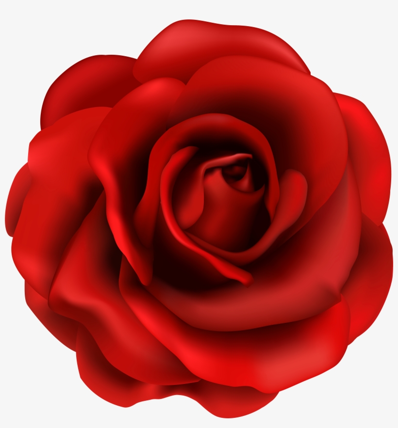 Red Rose Flower Png Clipart Image - Red Rose Clipart Png, transparent png download