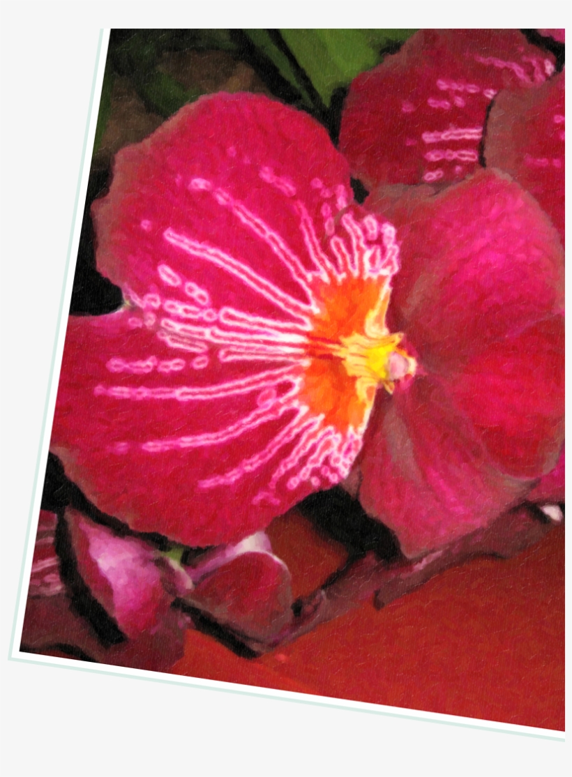 New York City, transparent png download