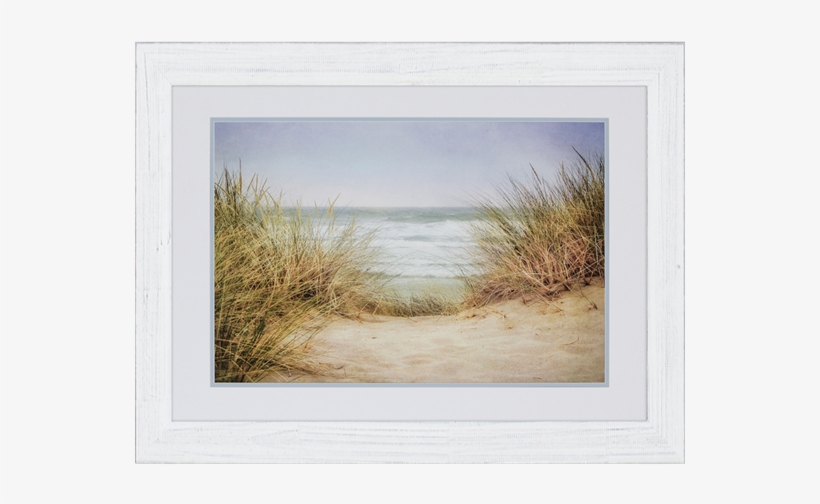 Sea Grasses I - 39" X 51" Sea Grasses 1 Framed Print, transparent png download