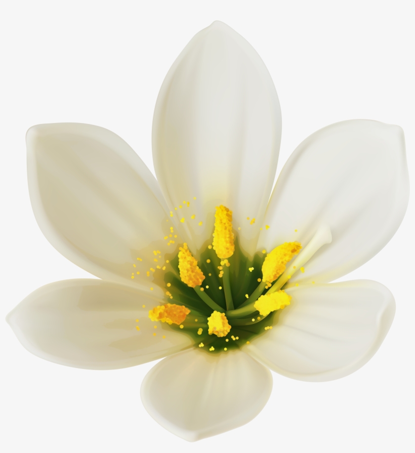 White Flower Png Clipart Image, transparent png download