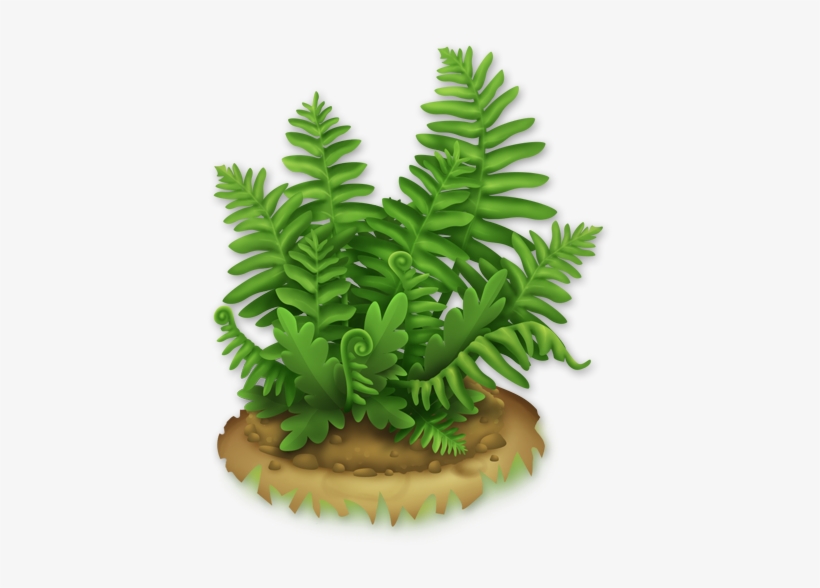 Lush Fern - Fern Png, transparent png download