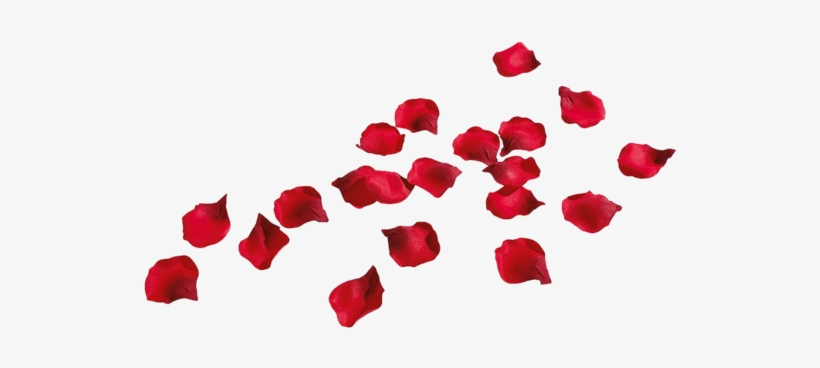 Share This Image - Rose Petals Png Transparent, transparent png download