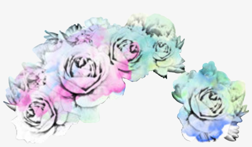 Report Abuse - Garden Roses, transparent png download