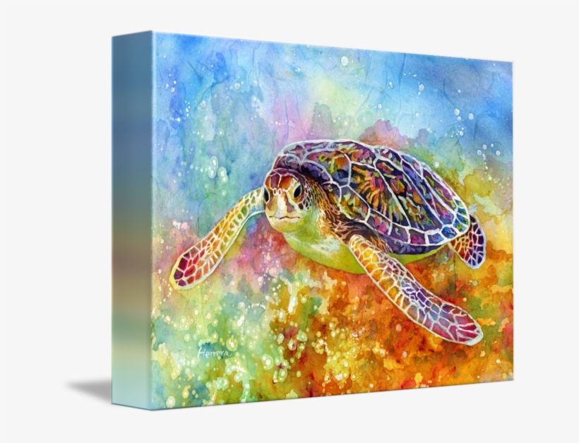 "sea Turtle " By Hailey E - Sea Turtle 3, transparent png download