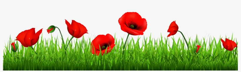 Grass With Flowers And Bee Png Clipart, transparent png download