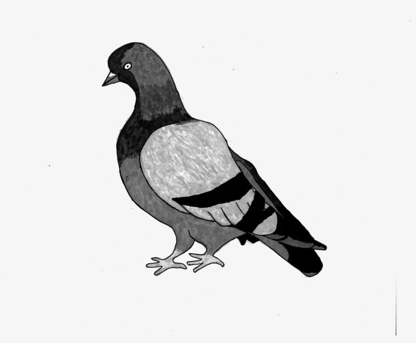 My Contributions On The Summer Of 2014 Mural Project - Bird, transparent png download