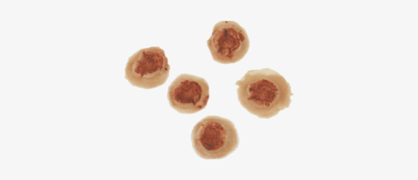 Bullet Holes 5 Pcs - Bullet Hole In Skin Png, transparent png download