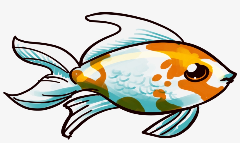 Goldfish, transparent png download