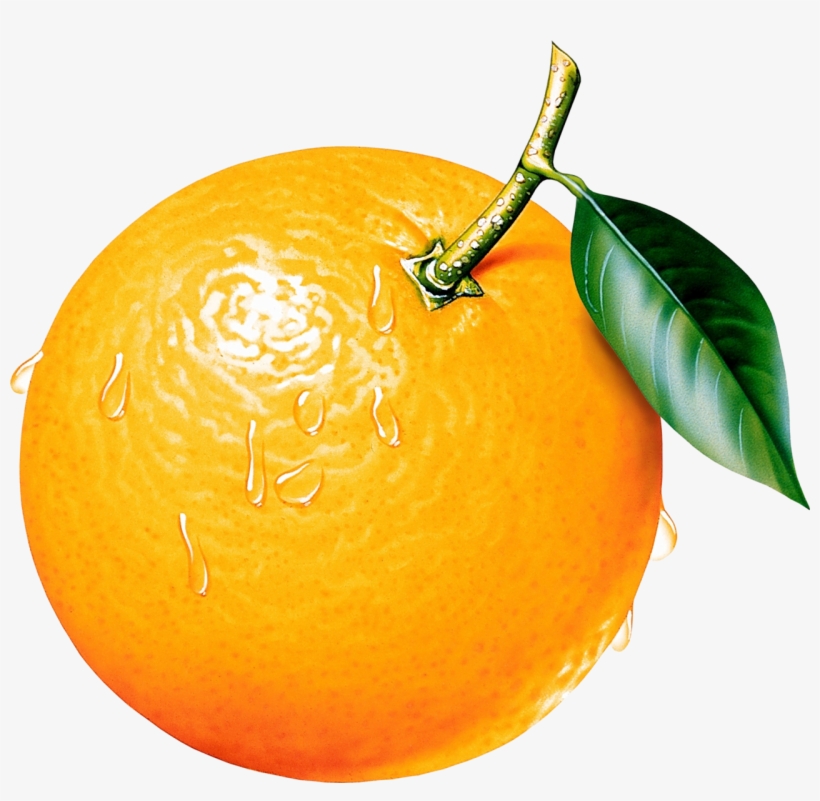 Фото, Автор Evitaa1969 На Яндекс - Orange Clipart, transparent png download