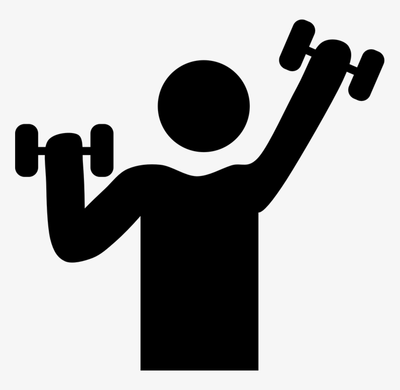 Dumbbells Weights Workout - Work Out Clip Art, transparent png download
