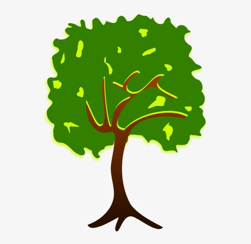 Branch Tree Drawing Plant Nature Story Free Commercial Tall Tree Png Clipart Png Image Transparent Png Free Download On Seekpng