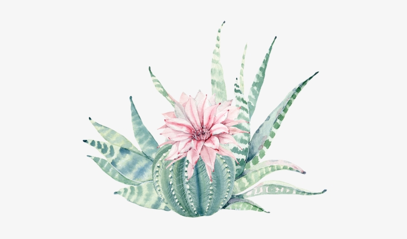 $ - Cactus Wall Art Succulent, transparent png download