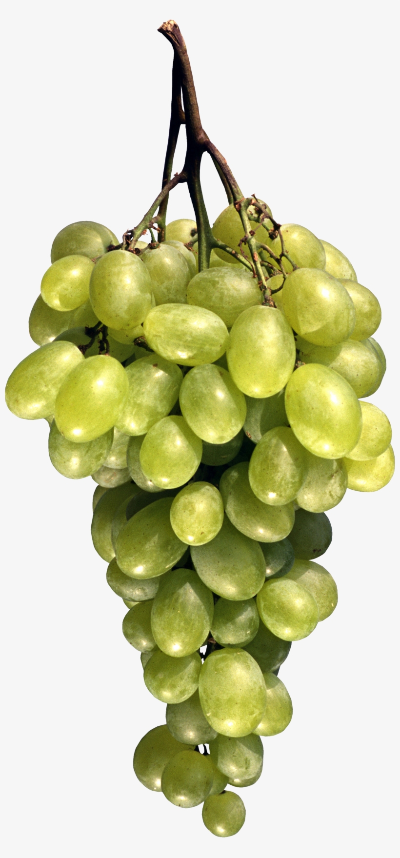 Grape Png Image Download, Free Picture - Fruit Png, transparent png download