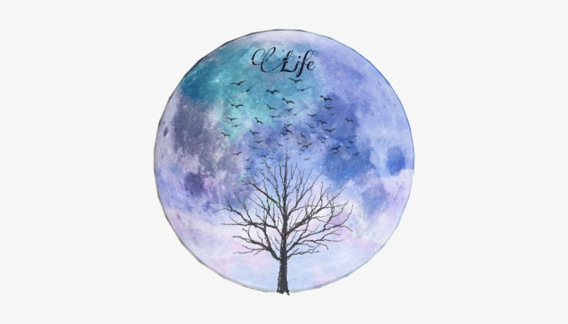 Harlem Yu 2013 New Album, transparent png download