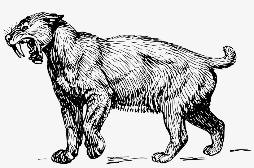 This Free Icons Png Design Of Sabre-toothed Tiger, transparent png download