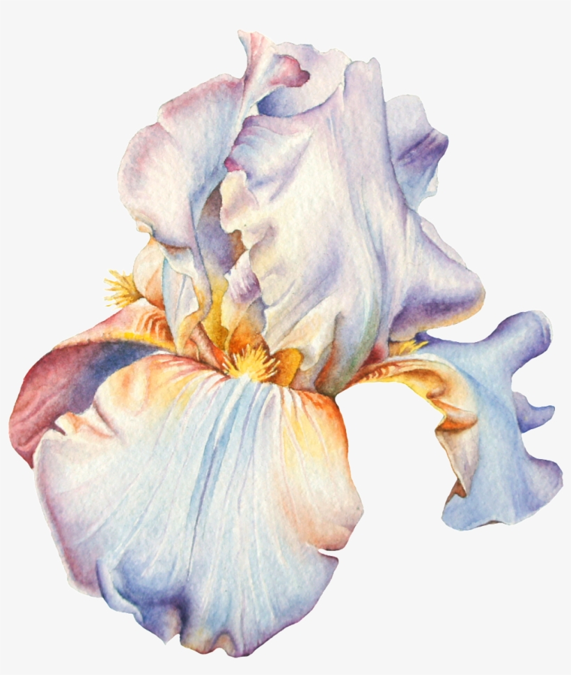 Hand Painted Watercolor Flowers Png Transparent - Watercolor Painting, transparent png download
