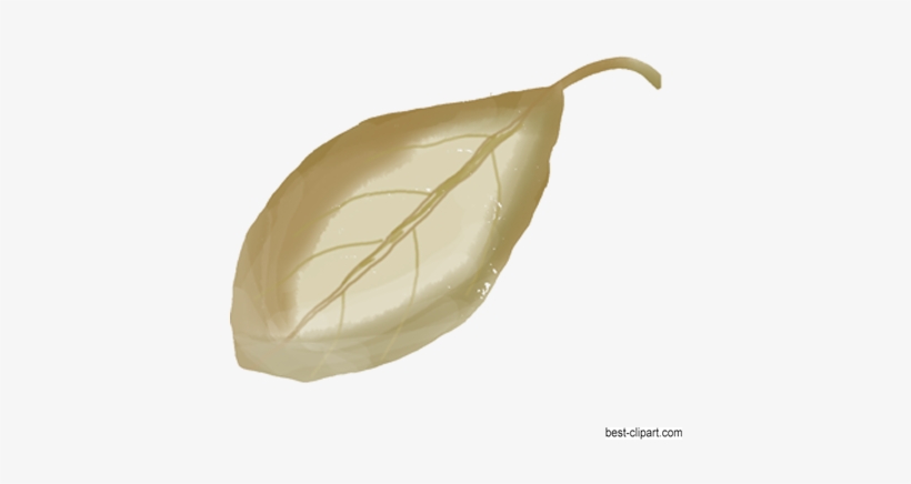 Watercolor Leaf Free Graphic - Watercolor Painting, transparent png download