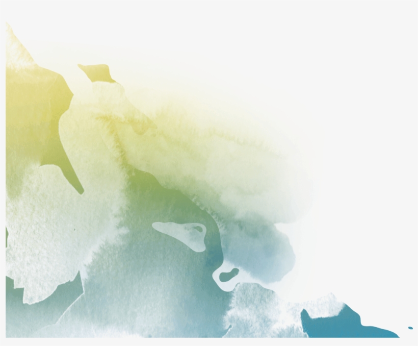 We Still Offer Day Tickets For People From The Area - Manta Ray, transparent png download