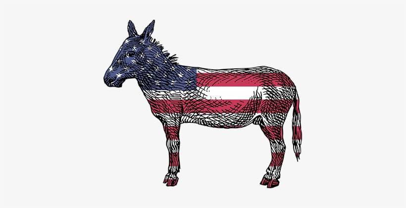 America Democrats Ass Democratic Donkey Fl - Reasons To Vote For A Democrate Book, transparent png download