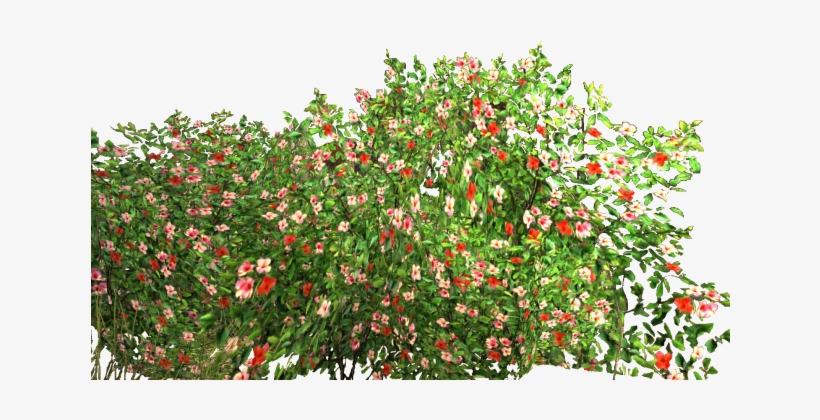 Garden Free Png Image - Garden Png, transparent png download