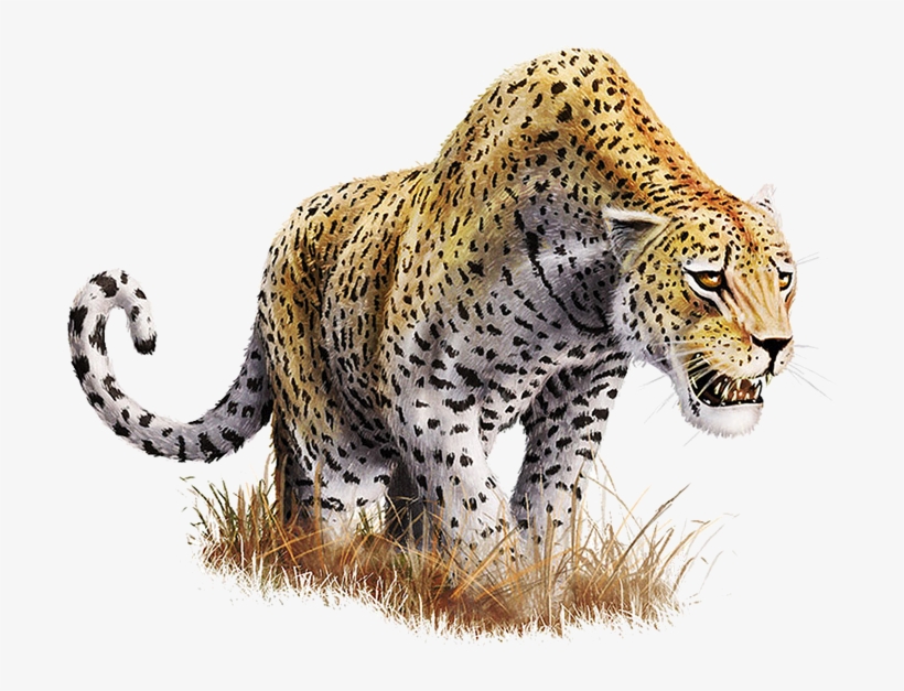 Leopard Download Png - Transparent Background Jaguar Png, transparent png download