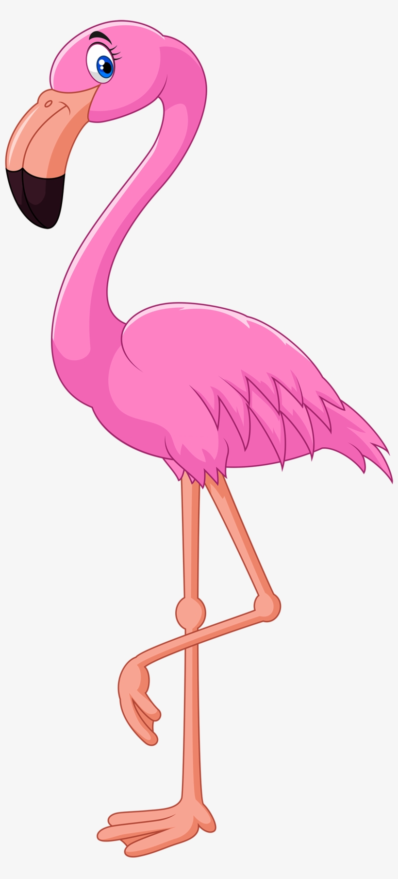 Pink Flamingo Png Clipart - Flamingo Clipart, transparent png download