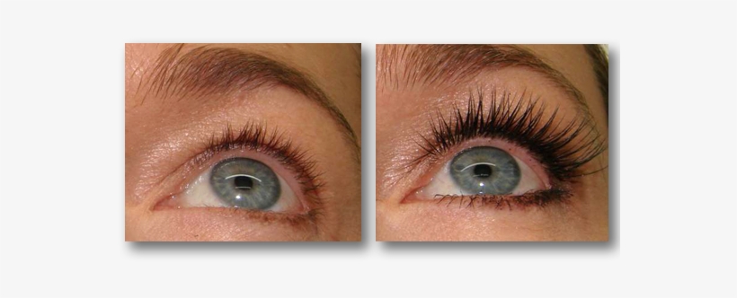 Eyelashes - Eyelash Extensions, transparent png download