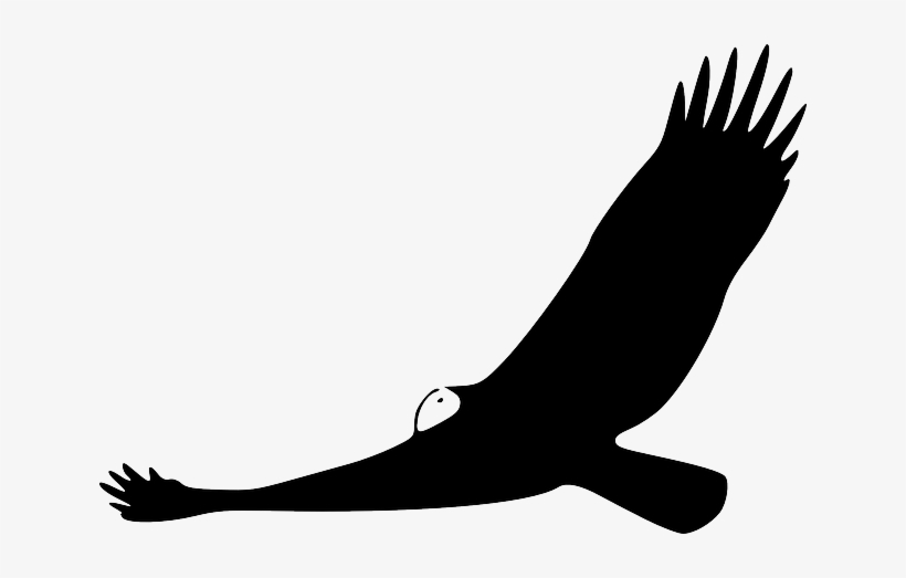 Animals, Turkey, Silhouette, Cartoon, Birds, Flying - Vulture Clip Art, transparent png download