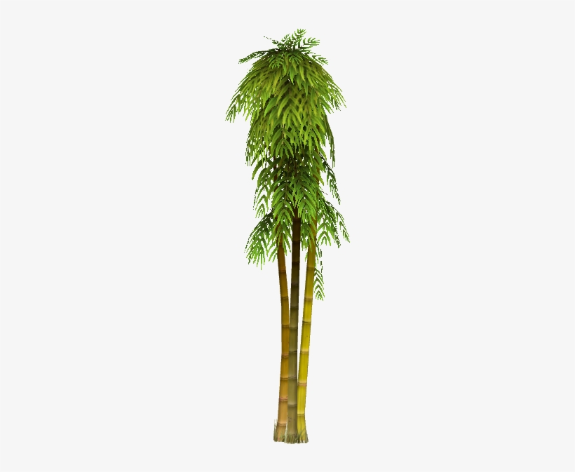 Tall Bamboo 2 - Wiki, transparent png download