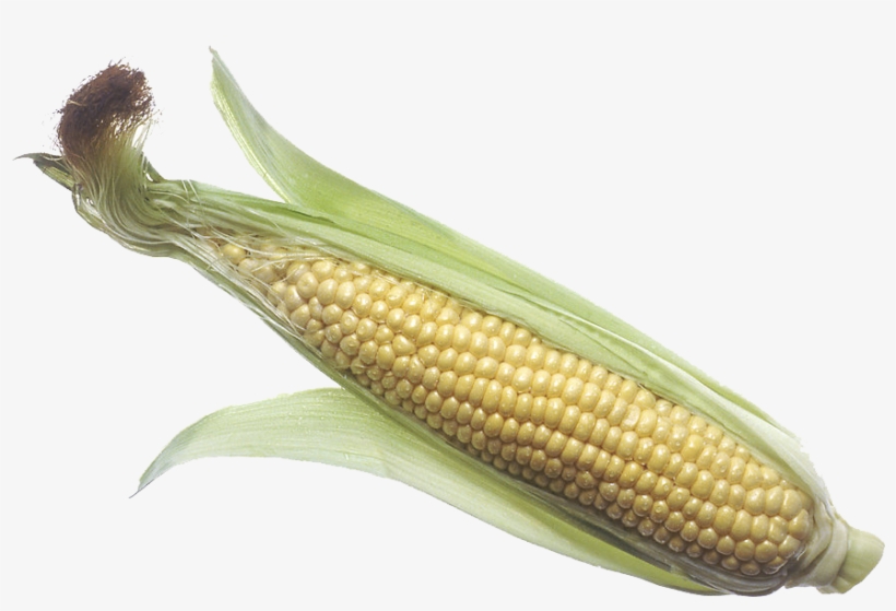 Corn Png - Corn On The Cob Png, transparent png download