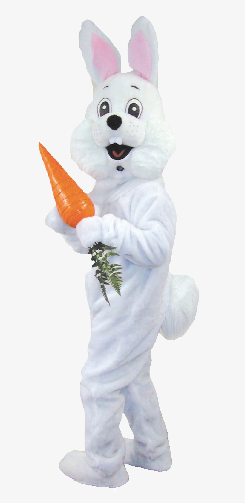 Easter Bunny Png - Bunny Costume Png, transparent png download