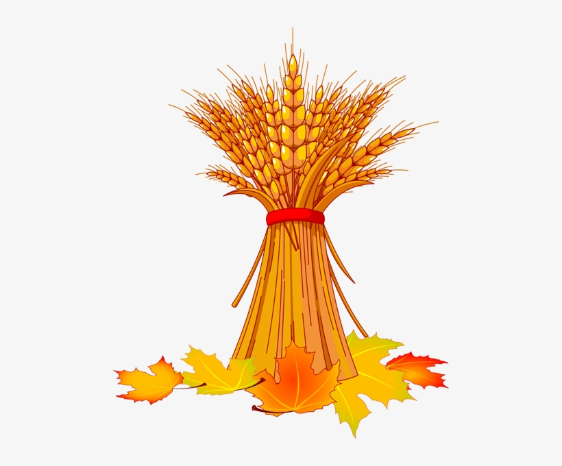 Free Pictures Of Autumn Leaves - Fall Clip Art, transparent png download
