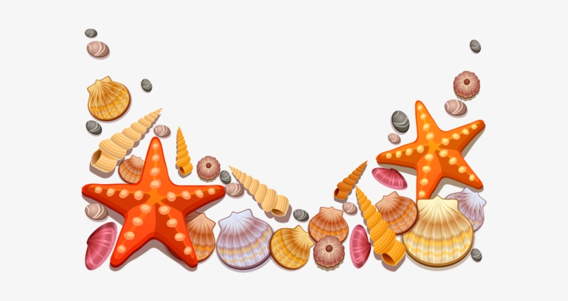 Beach Clipart Seashell - Sea Shells Shower Curtain, transparent png download