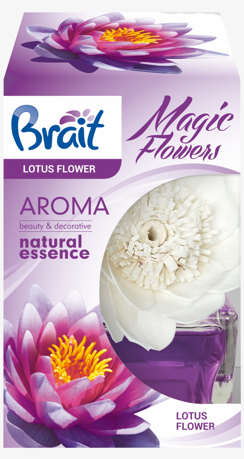Brait Magic Flower, transparent png download