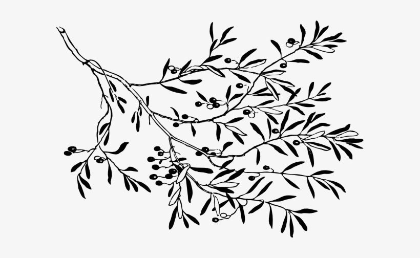 Small - Black And White Olives, transparent png download